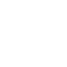 Magic Hat Dingbat